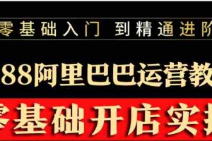 (3349期)阿里巴巴1688运营推广教程新手开店诚信通装修培训视频
