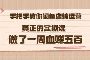 (3334期)2022版《手把手教你闲鱼店铺运营》真正的实操课 做了一周血赚五百 (16节课)