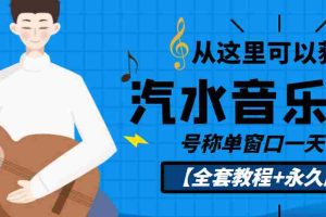 (3206期)外面收费1500的汽水音乐人挂机项目,号称单窗口一天100+【教程+永久脚本】