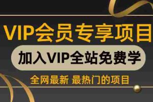 （1196期）《2020淘宝直通车打爆款》+《零基础学习淘宝SEO》+《淘宝运营小白变大神》