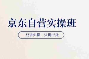 (3467期)【京东自营实操班】只讲实操,只讲干货(28小时课程-共2期)
