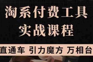 (3460期)淘系付费工具实战课程【直通车、引力魔方】战略优化,实操演练